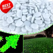 Glow in the Dark Pebbles - 1000PCS Luminous Stones for Garden & Pathway, Green