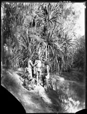 Aboriginal Indigenous man having ceremonial decorations painted on - Old Photo
