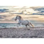 Ravensburger 500pc Jigsaw - Evening Gallop - 165865