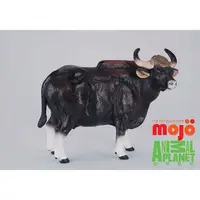 在飛比找PChome24h購物優惠-【MOJO FUN 動物模型】動物星球頻道獨家授權 - 印度