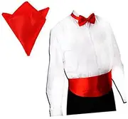 Yardenfun 3-Piece Men's Satin Bow Tie Cummerbund Handkerchief Set Red Formal Evening Him