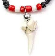 Authentic Shark Tooth Necklace Red & White Liverpool FC Oceanicshark Australia 133