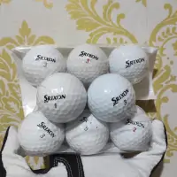 在飛比找蝦皮購物優惠-10 件裝 Srixon B 級高爾夫球