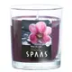 SPAAS 香氛蠟燭玻璃罐 125g 可燃燒25hr適用