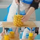 Mini Stainless Steel Portable Kitchen Tool Vegetable Peelers Slicers Core Remove