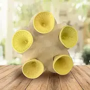 Bee Insect Drinking Cup, Bee Insect Drinking Cup, Bee Cups for Garden Thirsty Pollinators Need a Drink, Bees Need Safe Places to Drink! Bee Cups Collect a Teaspoon of Water (Yellow)