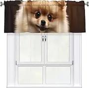 LHBWCVN Cute Pomeranian Dog Valances for Windows, Rod Pocket Window Treatment Drapes Farmhouse Kitchen Curtains Short Blackout Window Curtains for Living Room Bedroom Decor 54x18 Inch