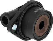 Holstein PCV Valve