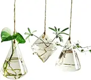 Fashionstorm Irregular Geometric Vase Glass Vessel Hanging Planters Flower Pots/Water Planter Vase Set Including 3 Pieces