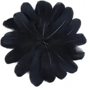 100 Pcs Nature Goose Feathers for DIY Craft Accessories Wedding Home Party Decor