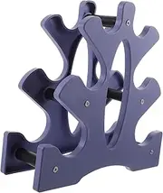 GANAZONO 1Pc Wear Resistant Dumbbell Stand Double Side Use Dumbbell Rack for Home Gym and Fitness Supplies Holds Abs Dumbbells Stable Weight Storage
