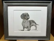 Drawing of a an Miniature Dachshund Dog Graphite Pencil Art Sketch Picture Print