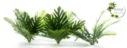 1/35 SCALE JUNGLE PLANTS MODEL SET (3 PLANTS/1 SET). TPV-110