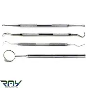 Dental Tartar Calculus Plaque Remover Dentist Tooth Scaler Instruments Pick Tool