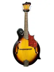 Zenison 8 String Acoustic F-Style Mandolin With F Holes Sunburst