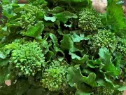 Broccoli, Rabe Rapini - Heirloom Vegetable by Life-Force Seeds Australia