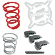 Aftermarket Assassins 2022 RZR Turbo R S2 Revolver Clutch Kit