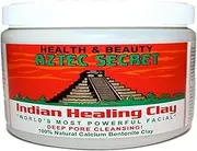 Aztec Secret - Version 1 Clay For Face - 1 lb., 2.6 x 0.4 x 1.1 inch