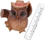 CANIGHT Cartoon Owl Rain Gauge Accurate Rain Measuring Tool Rain Gauge for Deck Outdoor Rain Gauge Statue Rain Gauge for Yard