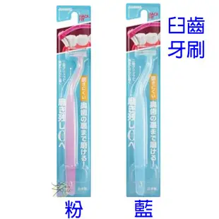 Cleardent 可麗淨 BACK FIT 臼齒牙刷 【樂購RAGO】 日本製