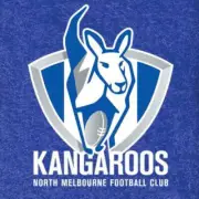 AFL Licensed Pool Snooker Billiards CLOTH 8 Foot - North Melbourne KANGAROOS