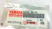 90202-06170 NOS Yamaha Plate Washer FJ1200 XV1600 XVZ1300 FJR1300 FZ1S LOT