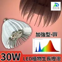 在飛比找momo購物網優惠-【JIUNPEY 君沛】30W 加強型+紫外線UV E27植