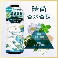 在飛比找Yahoo!奇摩拍賣優惠-TC蒲公英控油蓬鬆洗髮精320ml 無矽靈洗髮精 安瓶精華洗