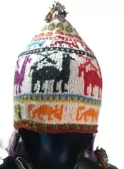 Chullo Unisex Tejido en Lana Multicolor Hecho a Mano Cordillera Andina