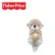 Fisher Price-費雪安撫睡眠小水獺