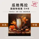 瓜地馬拉 薇薇特南果 歐規特選 SHB 水洗 1磅裝 中焙 咖啡豆 熟豆『93咖啡』