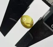 FOSSILS in Amber Stone.INSECT.FLY Trapped in Amber.FLY in ROUND Amber BEAD
