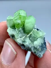 12 GM Natural Terminated Floater Peridot Crystals On Matrix Specimen
