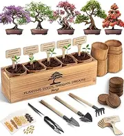 AVERGO Avergo Bonsai Tree Kit - 5X Unique Japanese Bonzai Trees,Complete Indoor Bonsai Starter Kit for Growing Bonsai Plants with Tools & Planters - Gardening Gifts for Women & Men