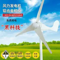 在飛比找Yahoo!奇摩拍賣優惠-小型風力發電機家用船用養殖用小型家庭風力發電機可用于風光互補