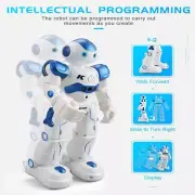 RC Robot Toys for Kids, Gesture & Sensing Programmable Remote Control Smart Robo