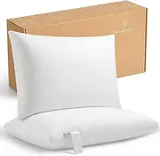 DISANGNI Pillows Set of 2, Fluffy Down Alternative Bed Pillows for Sleeping, Ideal for Back, Stomach, and Side Sleepers (Queen - 20" x 30" (Pack of 2))