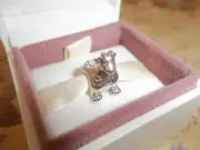 Genuine Authentic Pandora Staff Winniper Charm 790889 - RARE