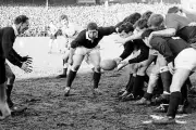 Scotland's David Rollo Flips The Ball Back 1968 OLD RUGBY PHOTO