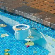 Poolskim Automated Leaf Skimmer /From Pool Surface - Return Line Surface Cleaner