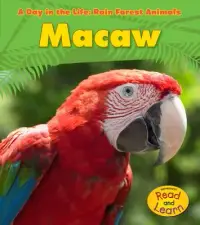 在飛比找博客來優惠-Macaw