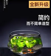 在飛比找樂天市場購物網優惠-生態魚缸 玻璃魚缸客廳小型烏龜缸風水招財家用桌面生態大水族箱