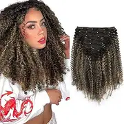 Sassina 4B Afro Curly Clip ins Human Hair Double Weft Hair Clip in Extensions Natural Black to Strawberry Blonde Curly Clip ins for African American Women7 Pcs with 17 Clips 18 Inch 120 Grams…
