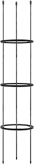 Trellis for Potted Plants - Metal Climbing Grapes Plant Support Outdoor | Sturdy Flower and Vine Cage Rack for Houseplants, Ivy, Vegetables, Patio, Lawn, Garden Pots, Balcony Decor