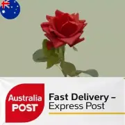 Artificial Faux Ecuador Real Touch Rose Stem - Red Colour