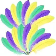 NUOBESTY Wedding Plumes Ornaments 300pcs Beautiful Goose Plumes for Carnival Craft Home Decor