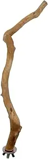ShengQuanHao Wooden Bird Perches, Bird Cage, Branch, Parrot Bird, Standing Branch, Standing Chewing Perches for Thrushes and Other Small Birds, Bended