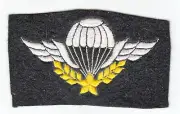 WARTIME CAMBODIAN AIRBORNE WINGS FANK PARATROOPER INSIGNIA (271)