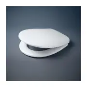 Caroma Profile Soft Close Toilet Seat Chrome Hinge With Germgard 300017W