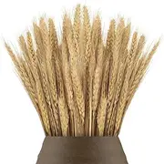 100pcs 40cm Dried Wheat Flowers Sheaves Dry Wheat Grass Bouquet Dried Wheat Grass Bundle Artificial Wheat Dried Flowers for Fireplace Home Kitchen Church Table Wedding Christmas Wreath Decoration